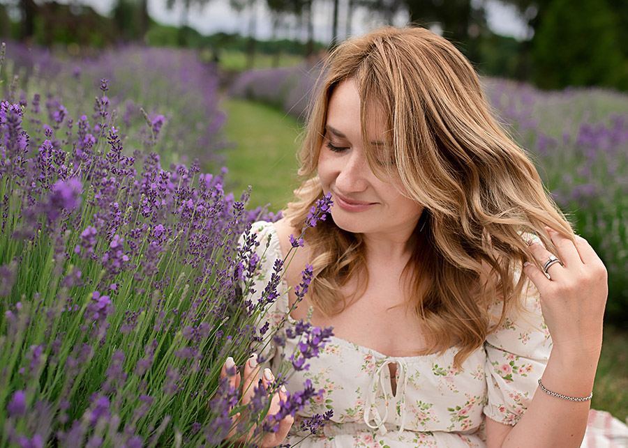 Maison Lavande lavender field