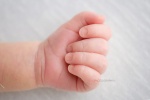 Montreal-newborn-photography14.jpg